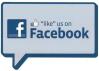 facebook like button (2)